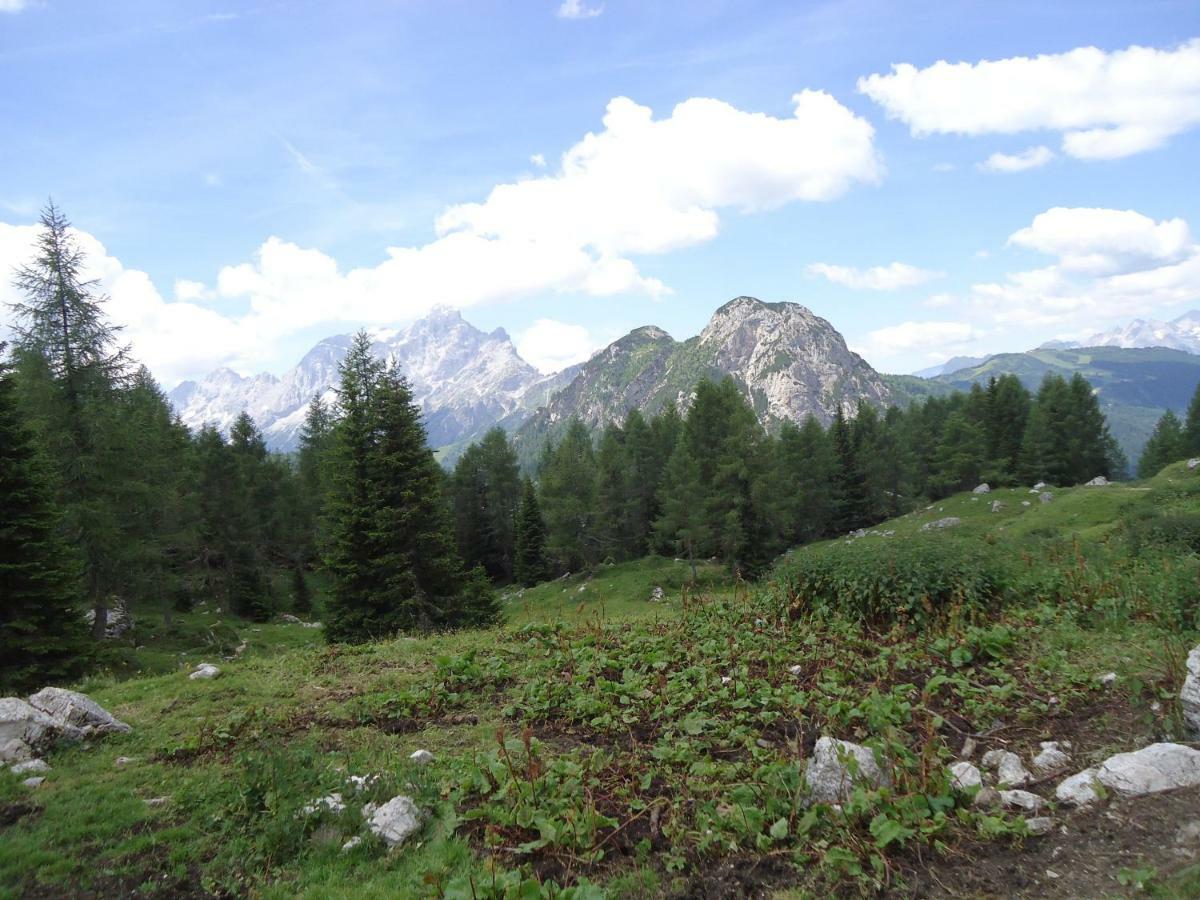 Sweet Home Cortina dʼAmpezzo Exterior foto